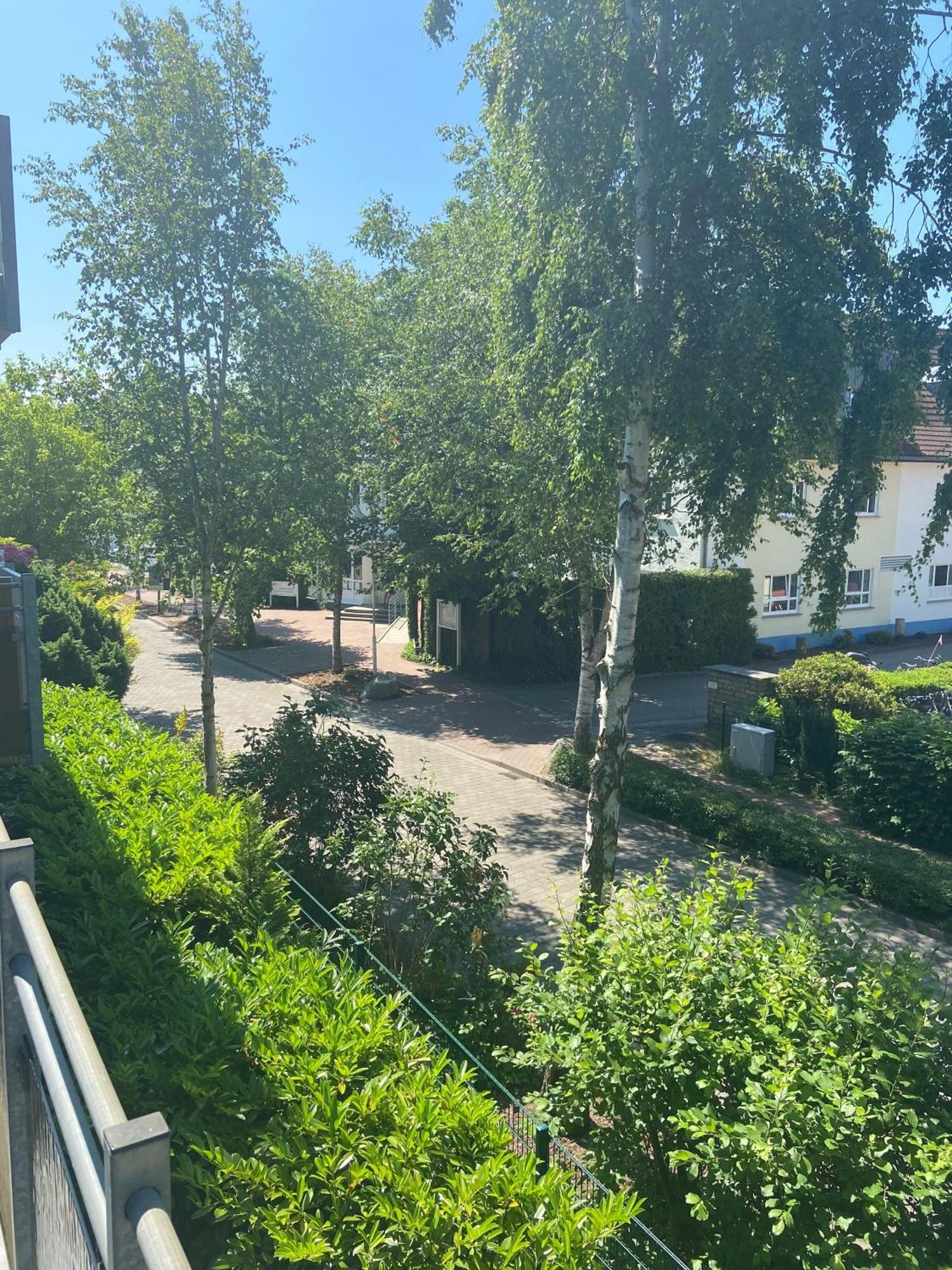 Meeresrauschen Zingst Kültér fotó